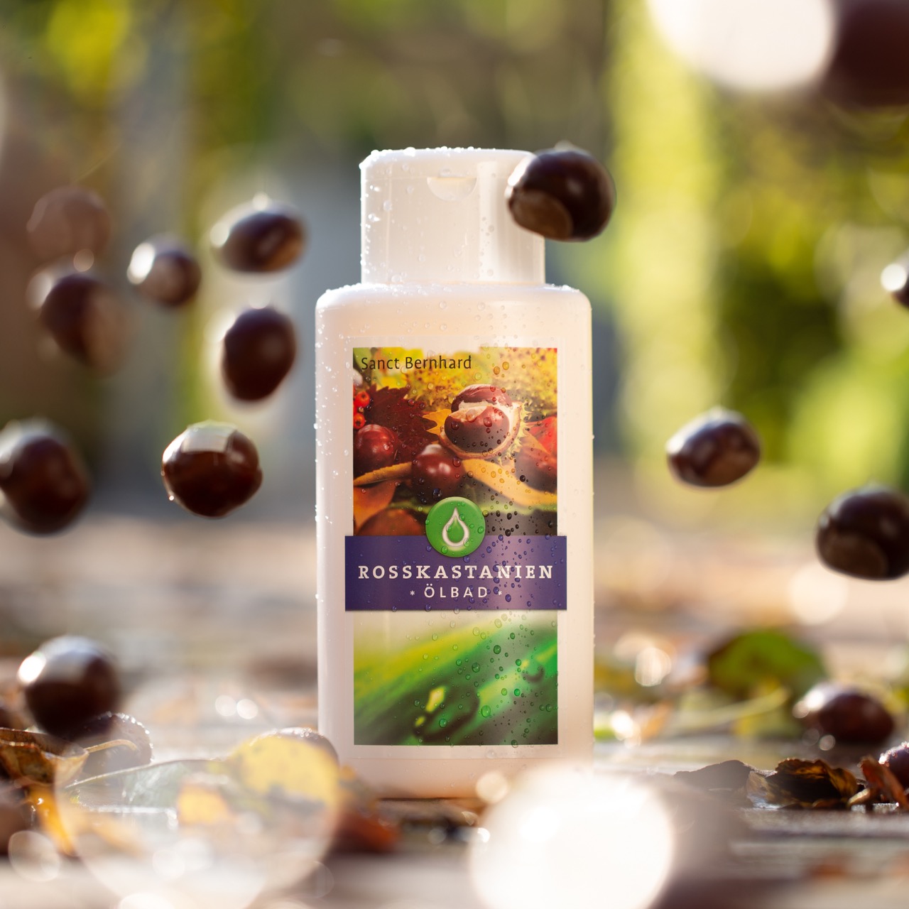 παραγγείλετε διαδικτυακά τώρα Sanct Bernhard